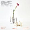우아한결 이미지