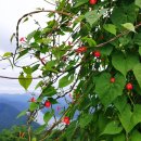 전교농장 이미지