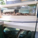 바다&장어 이미지