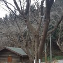 통나무펜션A 이미지