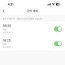 펫트리 이미지