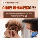 왜관동물병원 이미지