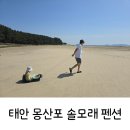 몽산포 솔모래펜션 | 태안 가족펜션 몽산포 솔모래 펜션_갯벌이 아름다운 곳