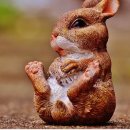 가운마을세탁 이미지