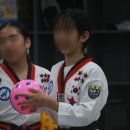 라이온태권도장 이미지