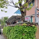 감나무집민박 - 고성군 봉포2길 6 | 감나무집민박