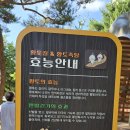 신장_근린1호(신장) 이미지