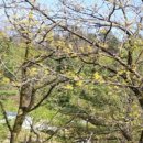 성주봉 자연휴양림 얕은 물놀이장 화장실 이미지