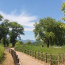 화포천생태습지공원 이미지