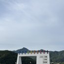 자매닭집 | [고성모녀여행_모두의회고 #3] 2025 고성 라벤더 축제 방문 후기