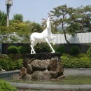 신구대학식물원 이미지