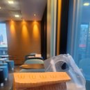 맥도날드 신제품 사전 시식회: 쿼터파운더치즈크리미파마산버거 시식 후기