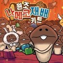 비웍스