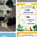 스타 반려견 교육센터 이미지