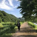 상도치 이미지