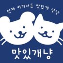 맛있개냥 이미지