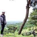 영락공원 이미지