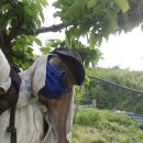 금월농장 이미지