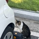 충인교회 | 8월 8일에 올리는 나의 88(팔팔)한 일상