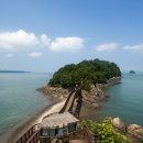 대부해솔길 5코스 이미지