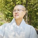 선재생활건강 | 샐러디 선재스님 협업 메뉴 선착순 50% 쿠폰 이벤트! - 메뉴, 가격, 기간, 후기 이벤트까지