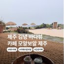 3506 | 제주 감성 뷰맛집 카페 발견! 김녕카페 모알보알 제주 후기