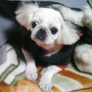 안양1동주민센터 이미지