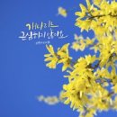 캘리그라피 이미지