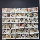 톡바른경희한의원 이미지