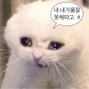 별난김해뒷고기껍데기 네이버블로그