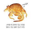 키다리엄마