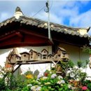 현지스테이 이미지