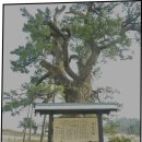 반도병원 | 팔자주름없애기 시술 병원 추천 방법 효과 후기