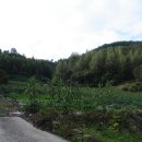 양지-2793 이미지