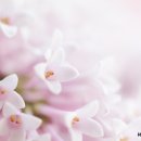 서초대로53길 24 이미지