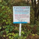 백운행정사사무소 이미지