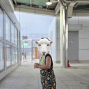 위시어스 | 던스 미니마더어스 덩가리 내돈내산 후기