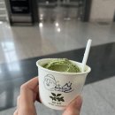 제주 중문 식당 추천 가람돌솥밥 한치해물솥밥 후기