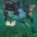 더씨. 퍼시픽(The Sea pacific) | 코타키나발루 3박4일 일정 DAY2 | 마무틱섬 호핑투어, 더퍼시픽수트라 프라이빗비치, 선셋마사지