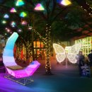 명륜1번가1 이미지