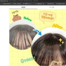 다이소앞 | [다이소]떡진앞머리 소생템 후기