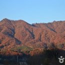 반산낚시터 네이버블로그