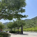 섬진축산 | 곡성 별천지가든에서 섬진강별미 은어튀김 즐기기