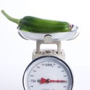 초록나무한의원 이미지