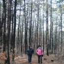 특명 ㅡ &#34;선원사&#34; 명문을 찾아라 ~ !!!!!!!!!!!!!!!! 이미지