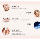 킴스코 이미지