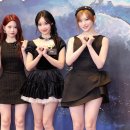 중소아이돌 국가에서 지원금 주는 거 자꾸 까글 올라오길래 앙딱정 이미지