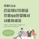 김안경원 이미지