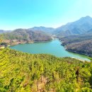 파나몬스신평점 이미지