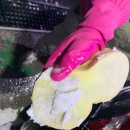센트럴샾세차타운 이미지